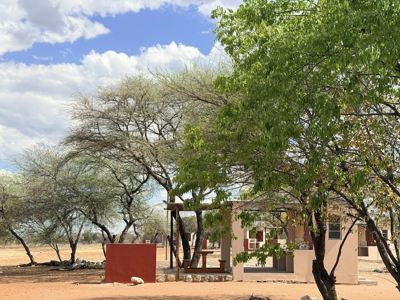 One of eight private campsites near Outjo, surrounded by trees