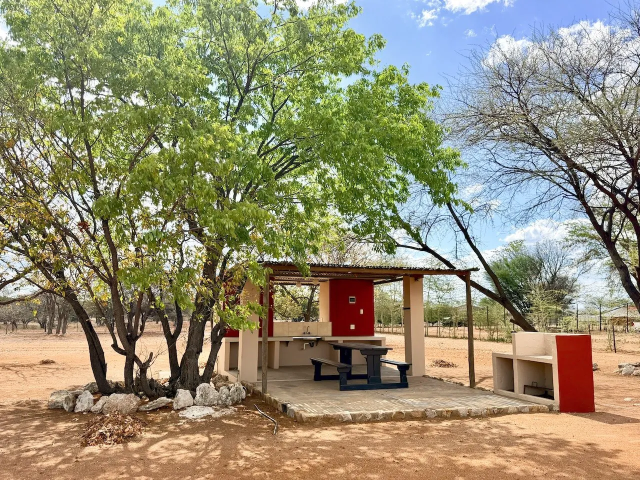 Campsite under acacia trees on the red Kunene soil