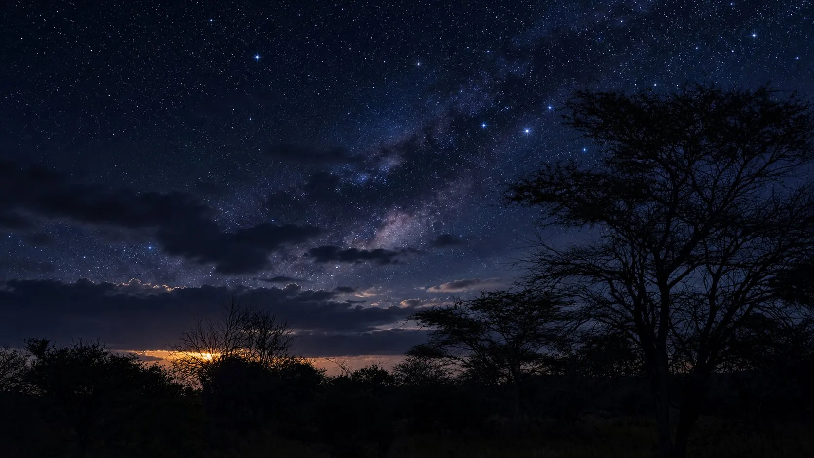 The Milky Way over acacia trees on a clear African night