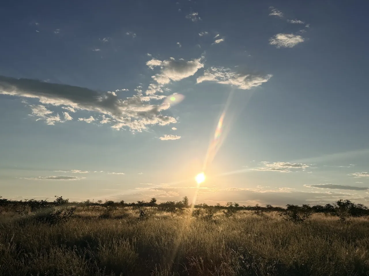 Sun setting over the grassland beside the campsites