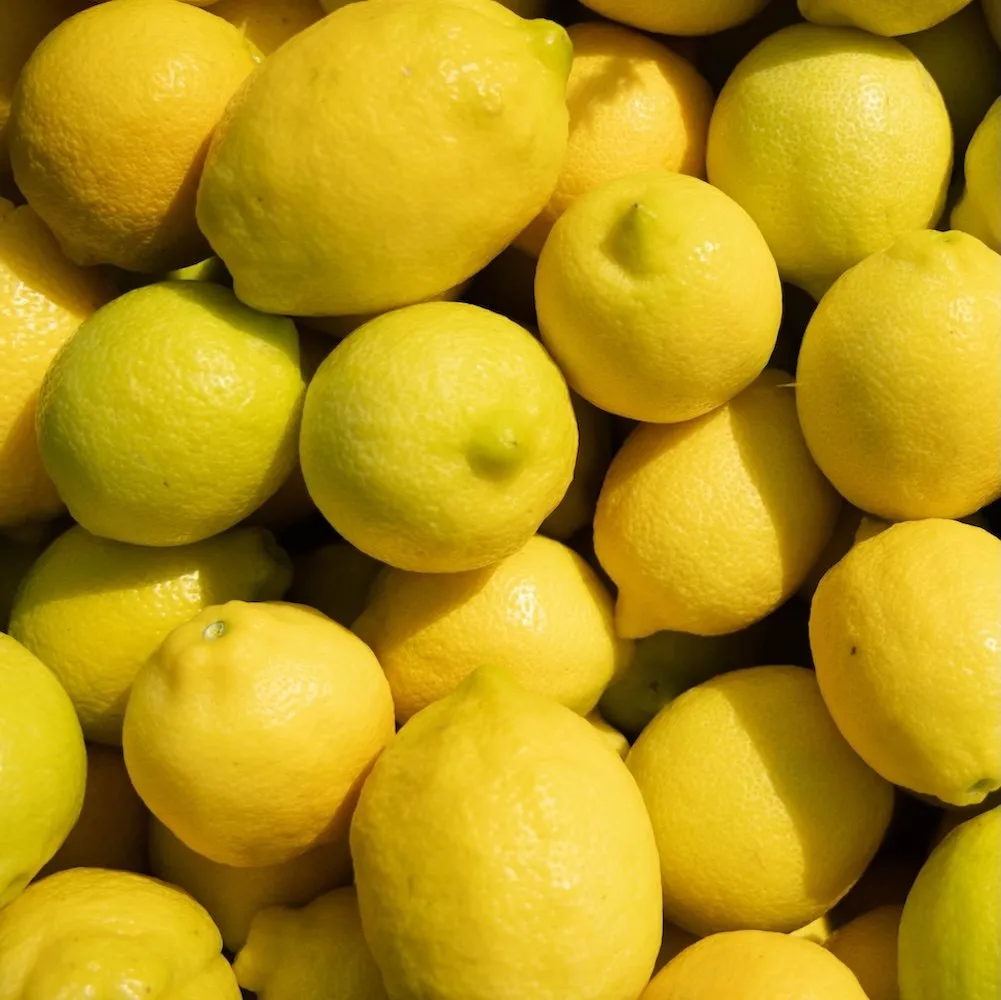 Freshly harvested lemons from the Yaguma plantation