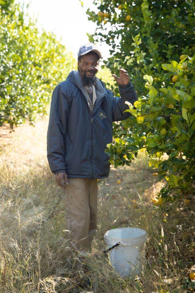 gidion harvesting