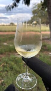 Accommodations glass of wine