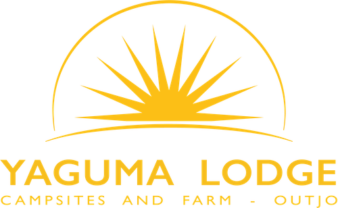 logo yaguma sans fond pt